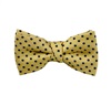Papillon Bambino Giallo con Pois Blu