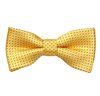 Papillon Bambino Giallo con Pois Neri