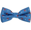 Papillon Bambino Blu con Ombrelli Borgogna