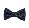 Papillon Bambino Blu Scuro con Pois Bianchi