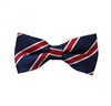 Papillon Bambino Blu Navy Righe Bordeaux