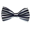 Papillon Bambino Blu Navy e Righe Bianche