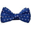 Papillon Bambino Azzurro con Margherite