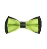 Papillon Bambino Bicolore Nero e Verde