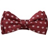 Papillon Bambino Bordeaux Margherite