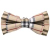 Papillon Bambino Tartan Scozzese Beige