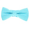 Papillon Bambino Quadretti Vichy Turchese