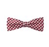 Papillon Bambino Smoking Quadretti Vichy Rosso