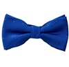 Papillon Bambino Festa Blu a Pois