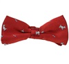 Papillon Bambino Bordeaux con Cagnolini Bianchi