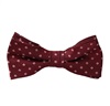 Papillon Bambino Bordeaux a Quadretti