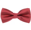 Papillon Bambino Bordeaux a Pois