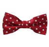 Papillon Bambino Bordeaux a Pois Grigi
