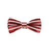 Papillon Bambino Bordeaux Righe Bianche