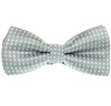 Papillon Bambino Grigio a Pois