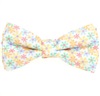 Papillon Bambino Margherite Multicolore