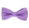 Papillon Bambino Viola a Pois