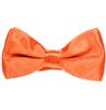 Papillon Bambino Arancione