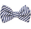 Papillon Bambino Righe Blu Navy e Bianco