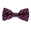 Papillon Bambino Righe Blu Navy e Magenta