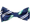 Papillon Bambino Righe Blu Navy e Verde