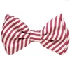 Papillon Bambino Righe Magenta e Bianche