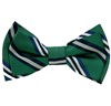 Papillon Bambino Righe Verde, Blu e Bianco
