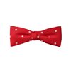 Papillon Bambino Rosso Smoking Pois