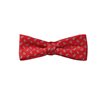 Papillon Bambino Rosso Paisley Blu