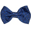 Papillon Bambino in Seta Blu a Pois Bianchi