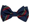 Papillon Bambino in Seta a Righe Blu Scuro e Bordeaux