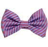 Papillon Bambino in Seta a Righe Blu e Rosse