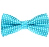 Papillon Bambino Turchese a Pois