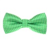 Papillon Bambino Verde Pistacchio a Pois