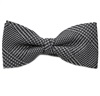 Papillon Principe di Galles Grigio e Nero