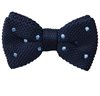 Papillon a Pois Blu a Punteggi Celesti
