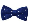 Papillon Punto Blu Royal a Pois
