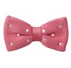 Papillon a Pois Rosa