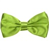 Papillon in Raso Verde Pistacchio