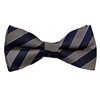 Papillon a Righe Blu Marino e Beige