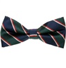 Papillon Righe Blu e Verde