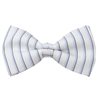 Papillon Righe Blu
