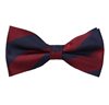 Papillon Righe Blu e Bordeaux