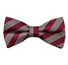 Papillon Righe Bordeaux e Beige