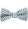 Papillon Righe Grigio Argento e Blu Navy