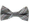 Papillon a Righe Grigie e Rosa