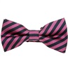 Papillon Righe Magenta e Blu Navy