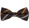 Papillon Righe Marrone e Giallo