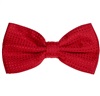 Papillon Rosso con Pois Rossi