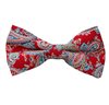 Papillon Rosso Paisley